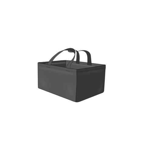 Transport bag for medicines
