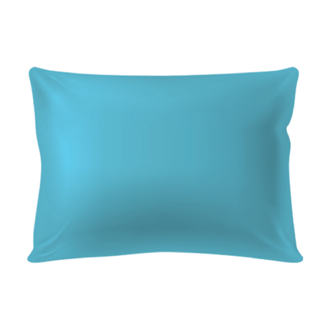 Disposable pillows
