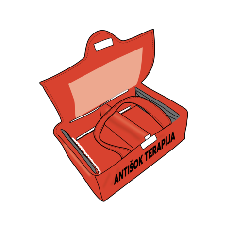 Transport bag for anti shock therapy