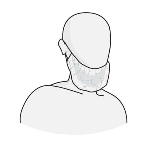 Chin protection