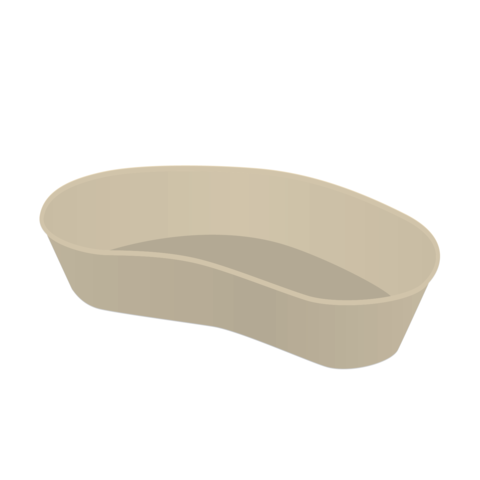Disposable kidney tray