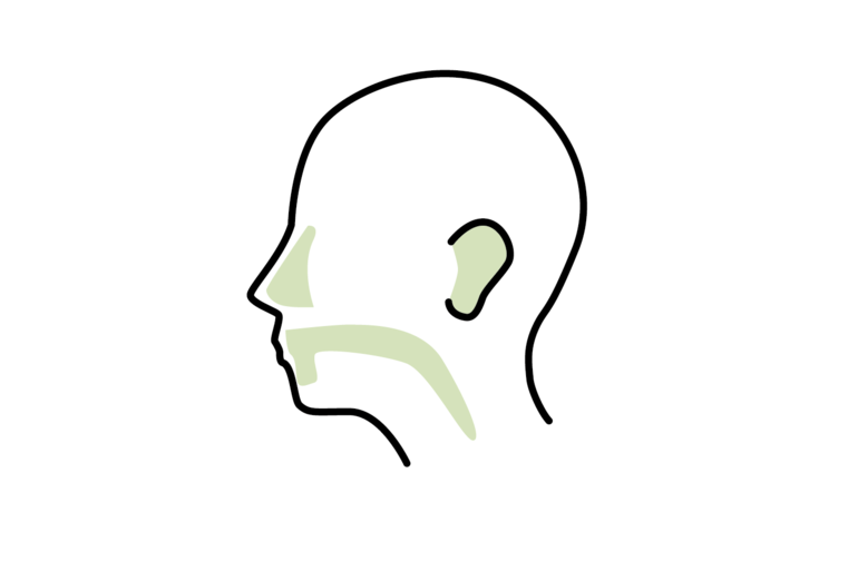 Otorhinolaryngology